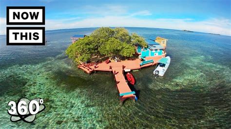 Bird Island: Paradise in Belize (360 Tour) | Unframed by Gear 360 ...