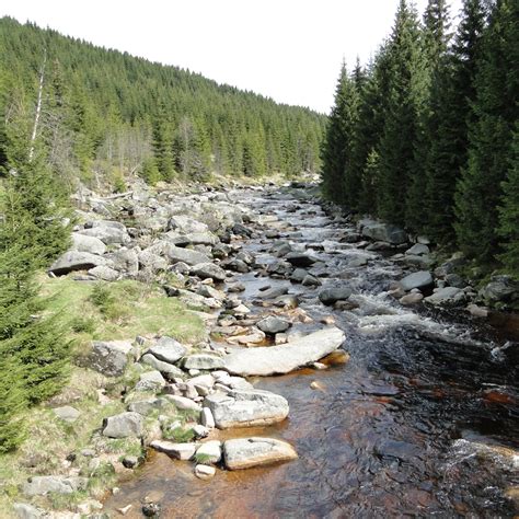 Nature and the landscape in the Czech Republic and their adaptation to ...