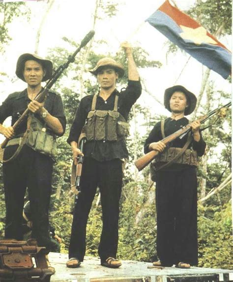 56 best Viet Cong and North Vietnamese Army images on Pinterest ...