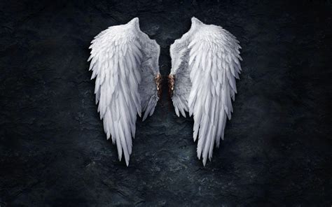 Black Angel Wings Wallpapers - Top Free Black Angel Wings Backgrounds ...