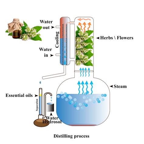 essential oil distillation machine