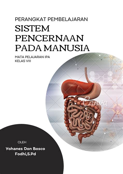 Sistem Pencernaan Manusia - OLEH SISTEM PENCERNAAN PADA MANUSIA ...