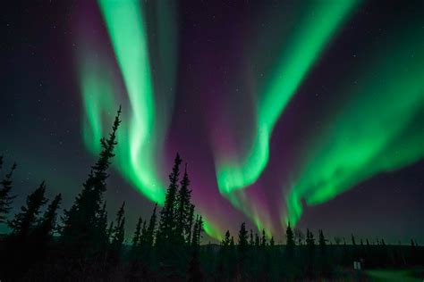 Northern Lights Tours 2024 Alaska - Berna Stoddard