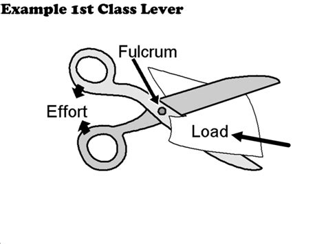 First Class Lever Diagram