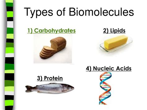 PPT - Biomolecules PowerPoint Presentation - ID:6019317