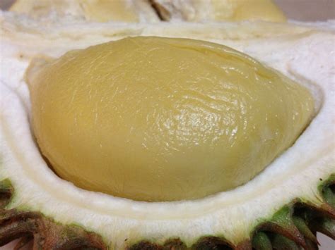 The Secret Behind The Name Of D24 Durian (Guest Post) – Sunlife Durian ...