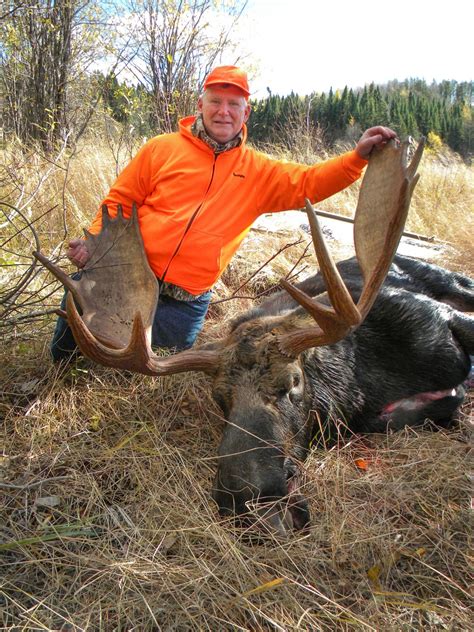 Moose Hunting Trips & Guide In Ontario Canada | Anderson's Lodge