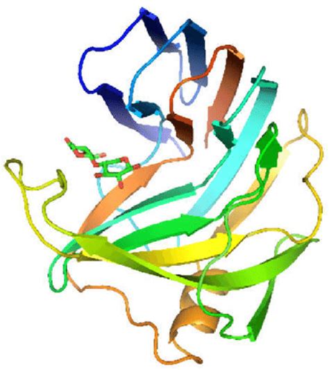 The 3-D image of Xylanase enzyme. | Download Scientific Diagram