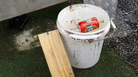 How to Make a Bucket Mouse Rat Trap - YouTube