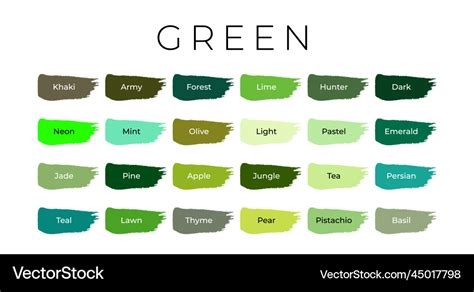 Green Paint Color Swatches With Shade Names Vector Image, 44% OFF