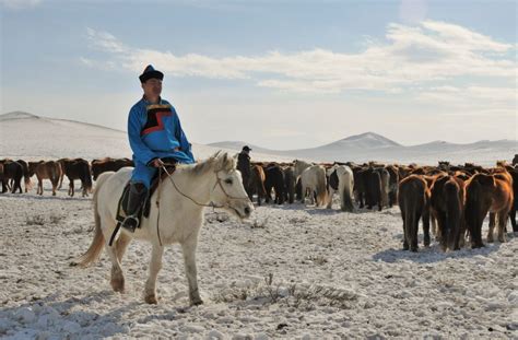 Festivals in Mongolia - Celebrations of Nomadic Traditions - Stone ...