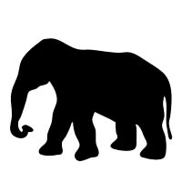 Elephant Trumpet Sound Effect MP3