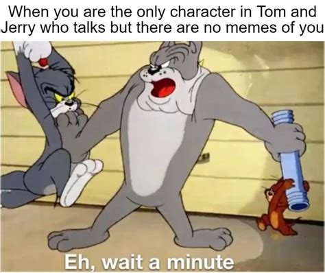 99+ The Art of Memes: Exploring the Endless Humor of Tom and Jerry ...