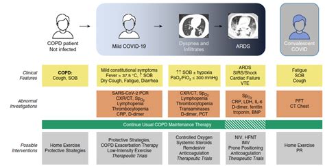 Global Initiative for the Diagnosis, Management, and Prevention of ...