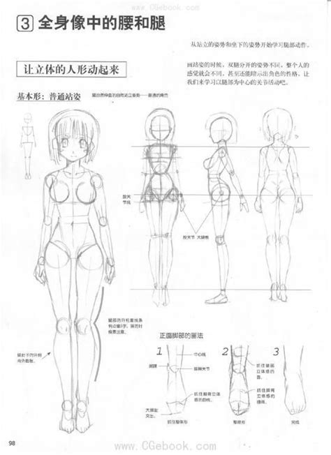 Anime Female Anatomy - Anatomy Book