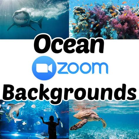 Huge List Of Zoom Backgrounds For Kids Office Background, Pink ...