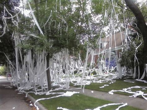 Huge Toilet Paper prank on a home in Pleasant Ridge (11 pics) | Pranks ...