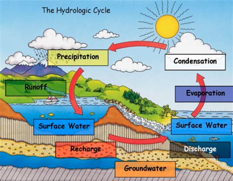 4. Label the Water Cycle - Zone 7 Water Agency