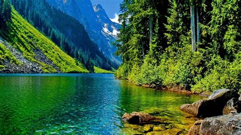 Download Awesome Nature Wallpapers in Full HD