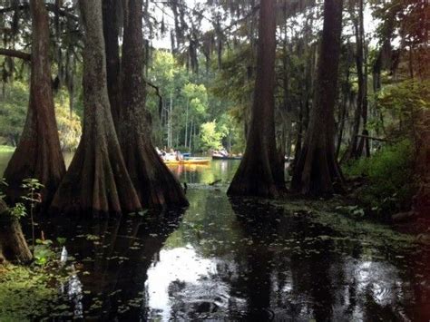 Chicot State Park, located near Ville Platte, Louisiana, features 6,400 ...