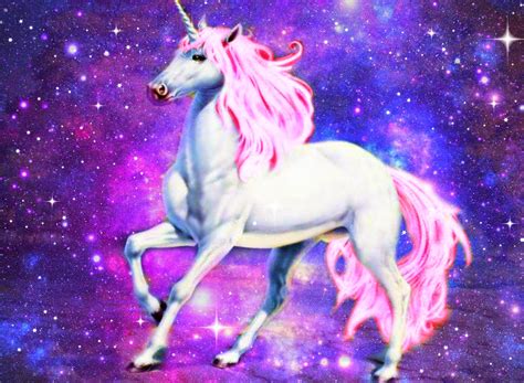 Unicorn Fashion Picks // You're Never Too Old - Sweet Elyse