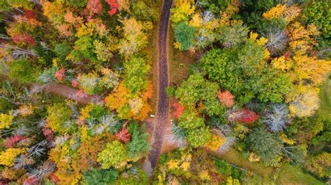 Maine Fall Foliage- 13 Spots to Enjoy Fall Colors in Maine