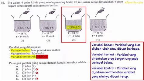 Contoh Variabel Bebas Terikat Dan Kontrol Biologi – Berbagai Contoh