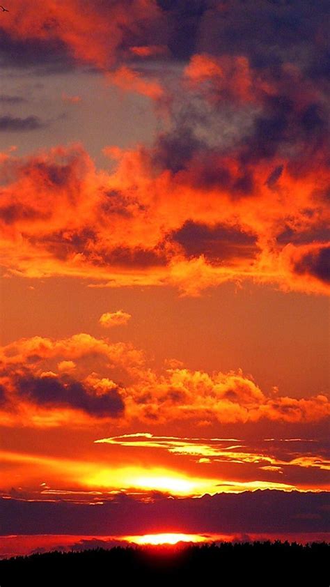 Sun Sky Sunset Clouds background #summer sunset x | Sky aesthetic ...