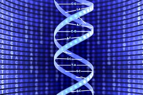 Dna Double Helix Structure Diagram