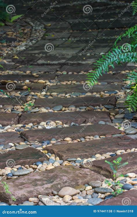 Stone Walkway on Green Grass Stock Photo - Image of pathway, garden ...