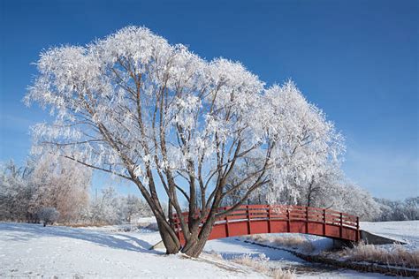 3,800+ Manitoba Winter Stock Photos, Pictures & Royalty-Free Images ...