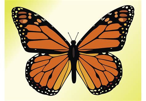 Monarch Butterfly - Download Free Vector Art, Stock Graphics & Images