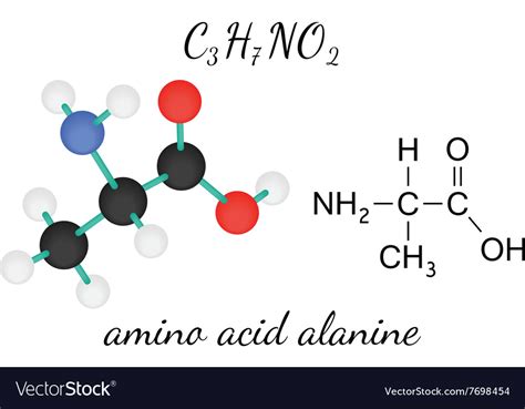 Alanine Amino Acid Structure