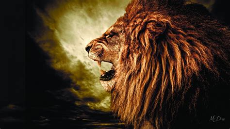 🔥 [140+] Lion Roar Wallpapers | WallpaperSafari