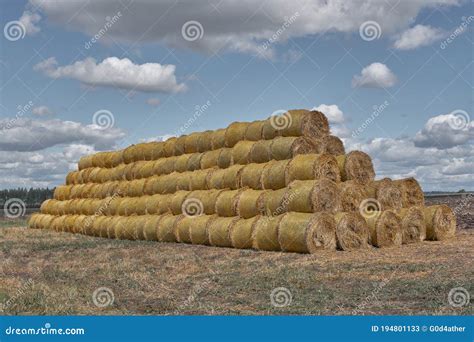 Round bales stock image. Image of business, landscape - 194801133