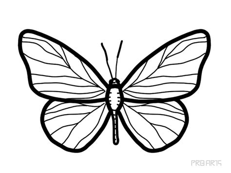 Butterfly Drawing Tutorial - PRB ARTS