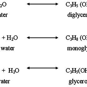 Describe the Role of Water in a Hydrolysis Reaction