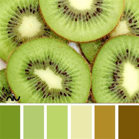 Kiwi Color Palette | Kiwi, Fruit, Exotic fruit