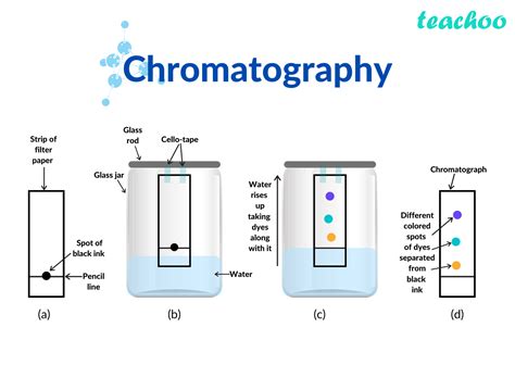 CHROMATOGRAPHY