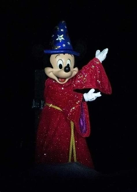 Our ~Frogtastic~ Guide to Fantasmic! at Disney World