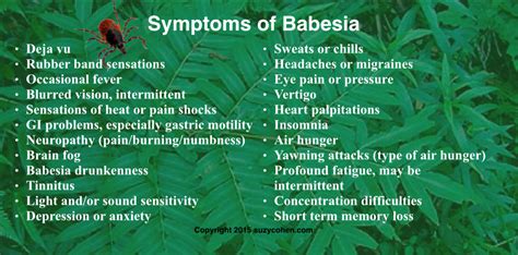 babesia symptom - pictures, photos