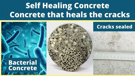 Self healing concrete || Bacterial Concrete || The concrete that heals ...