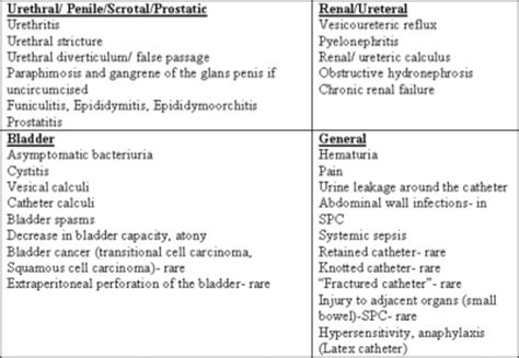 Internet Scientific Publications