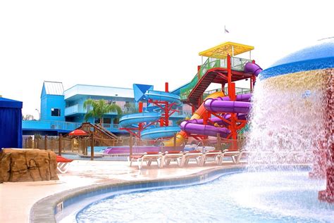 Flamingo Water Park Resort Orlando – Telegraph