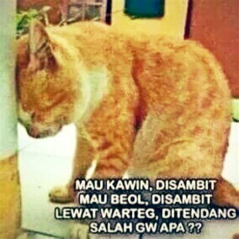 29+ Hits Foto Meme Nyimak Terkini | Memelucu22