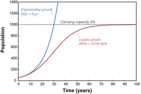 Difference Between Exponential Growth and Exponential Decay ...