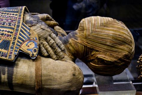 The Science of Ancient Egyptian Mummification: A Comprehensive ...