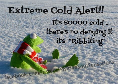 It's so cold ? | Cold quotes, Cold weather funny, Funny quotes