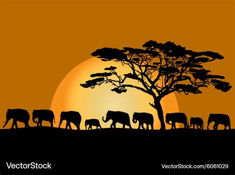 Herd of elephants Royalty Free Vector Image - VectorStock