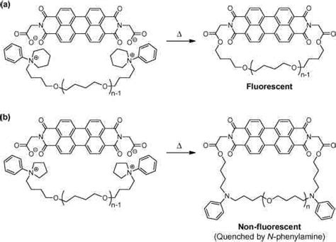 Formation of cyclic polymers through the covalent fixation of (a ...